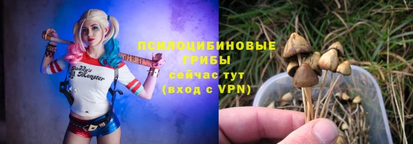 не бодяженный Богданович