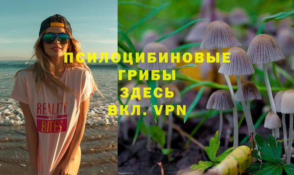 каннабис Беломорск
