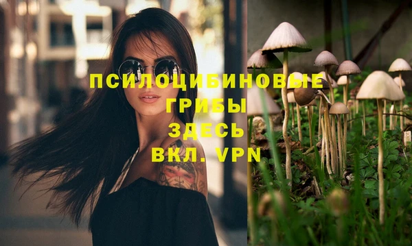 jwh Белокуриха
