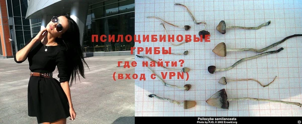 каннабис Беломорск
