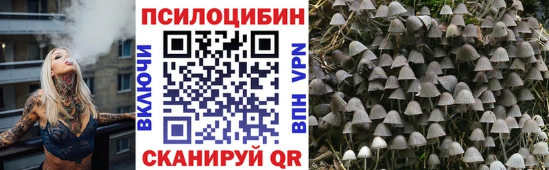 продажа наркотиков  Южа  Псилоцибиновые грибы мицелий 
