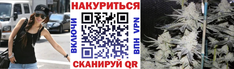 Бошки Шишки гибрид hydra маркетплейс Южа что такое